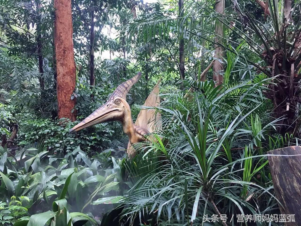 5.1带孩子去长隆推荐,带娃广东长隆欢乐世界游玩攻略