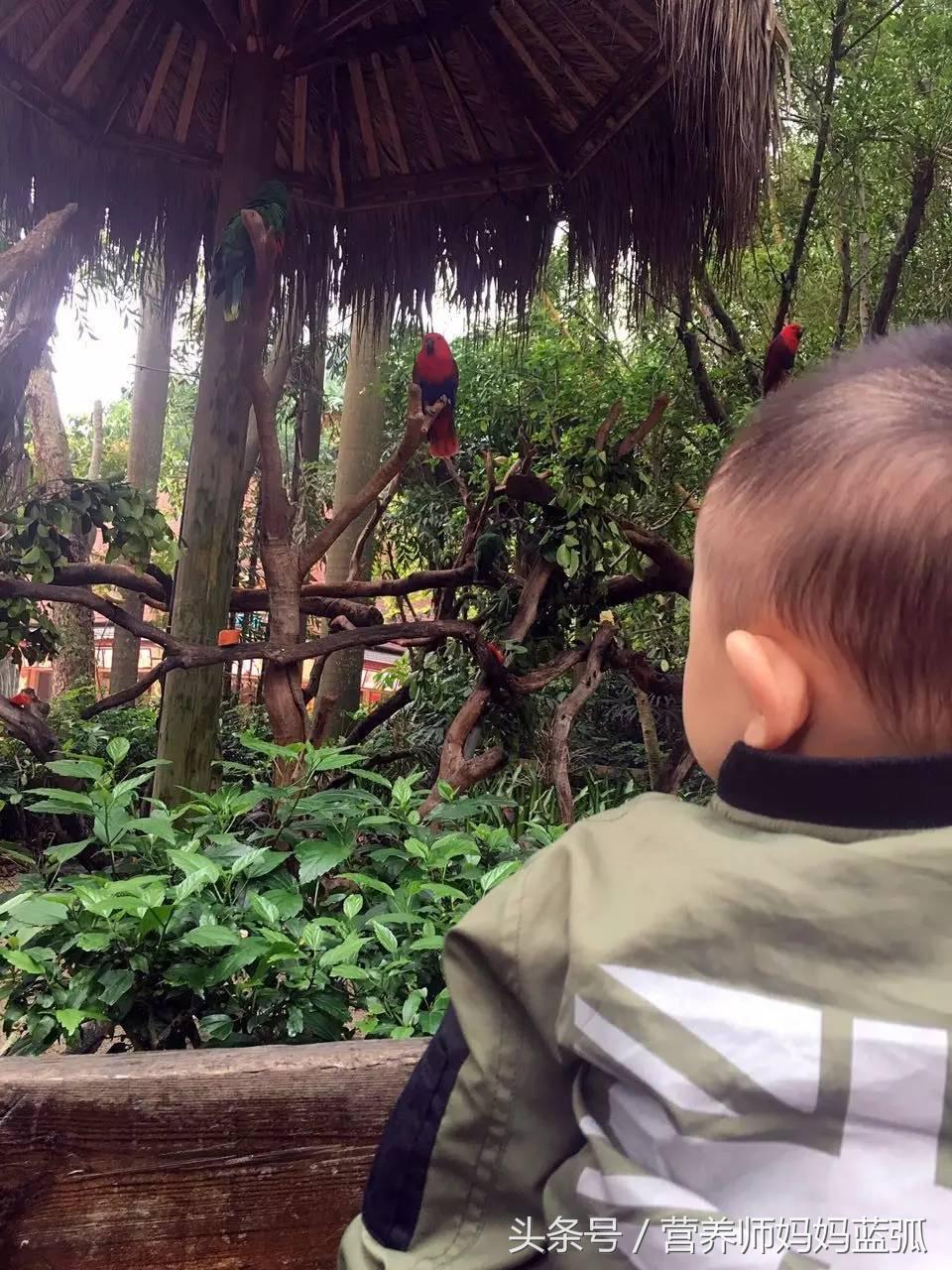 5.1带孩子去长隆推荐,带娃广东长隆欢乐世界游玩攻略