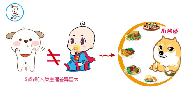 狗狗只吃人的食物不吃狗粮好吗,经常吃家里饭菜的狗狗还吃狗粮吗