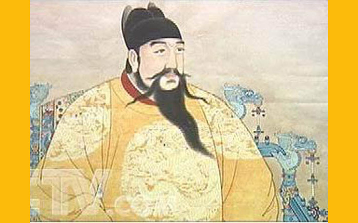 一棵山茶的故事,一棵茶故事