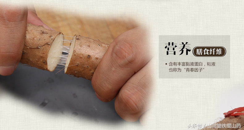 铁棍山药适合什么人食用,铁棍山药的十大功效与作用及禁忌