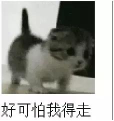 丹麦生蚝泛滥解决办法,丹麦生蚝泛滥的解决办法