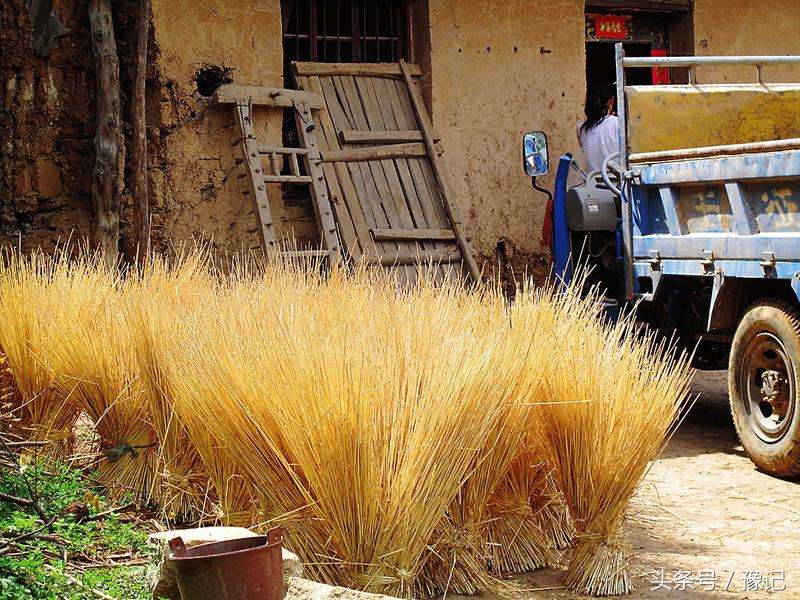 河南有一种工艺品，叫草帽缏