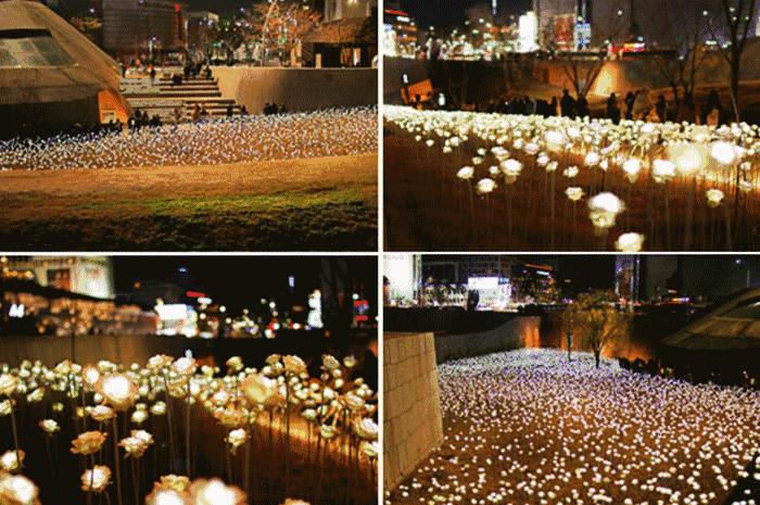 5月19日宁波哪些景点免门票,五一自驾游宁波周边免费景点推荐