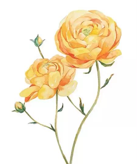 德阳低碳出行周边旅游民宿推荐,德阳好耍的民宿推荐