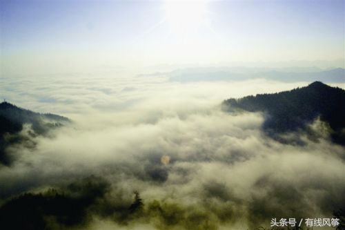 云南省最大涉黑案团伙,云南人口不足十万人的县