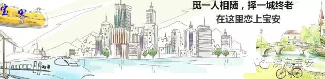 4条社区微巴直达西湾公园，这个“五一”来宝安看海天美景