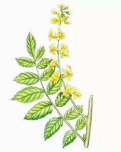 德阳低碳出行周边旅游民宿推荐,德阳好耍的民宿推荐