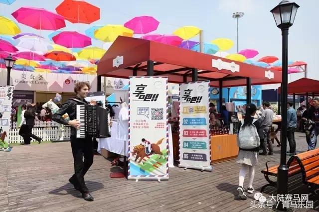 环球马术冠军中国骑手,上海环球冠军马术赛