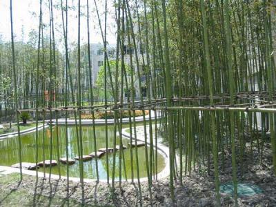 学习旺文昌运的方法,如何增强孩子的文昌运势