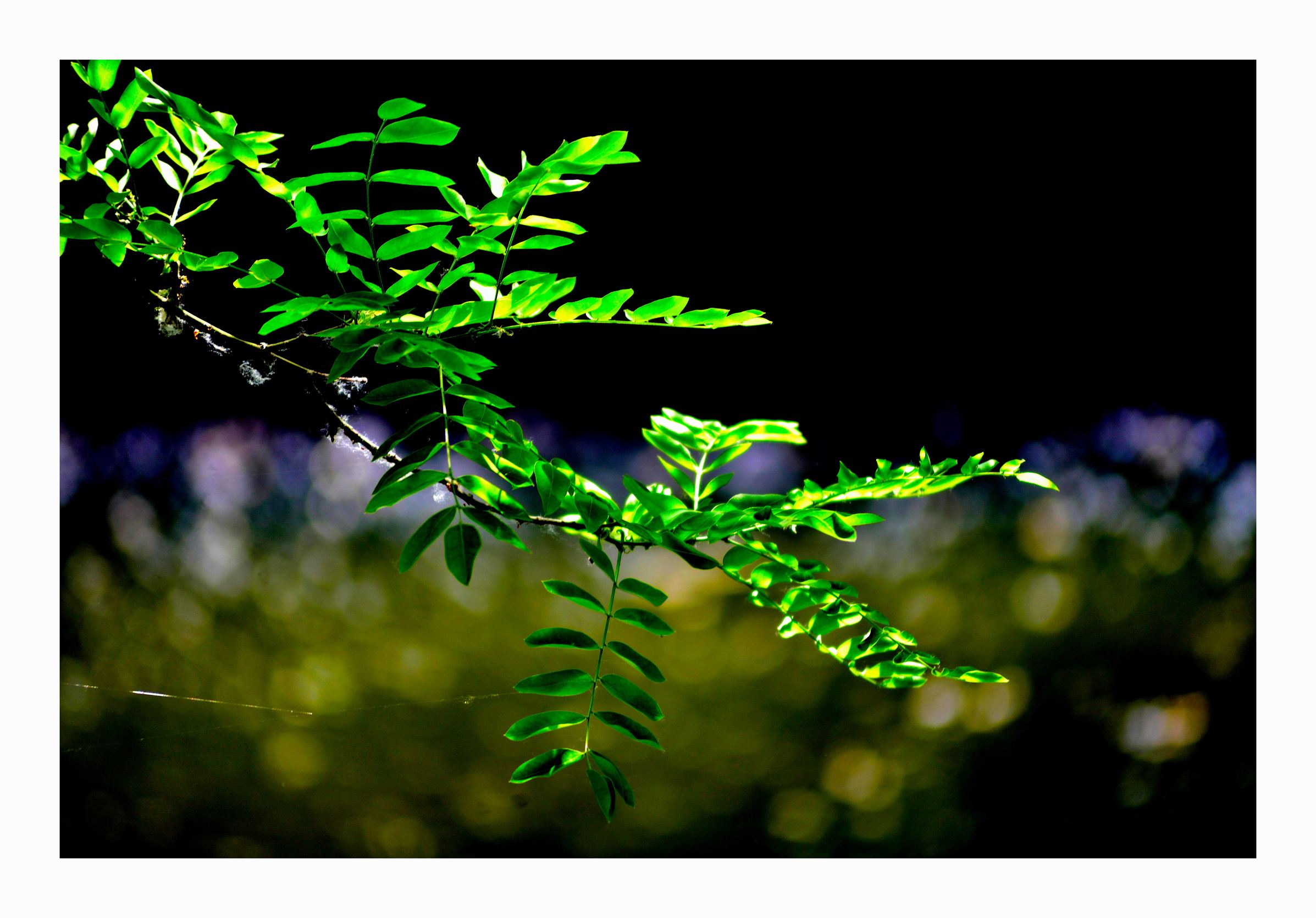 北京什刹海最具人文气息的地方,北京什刹海有啥好玩的地方