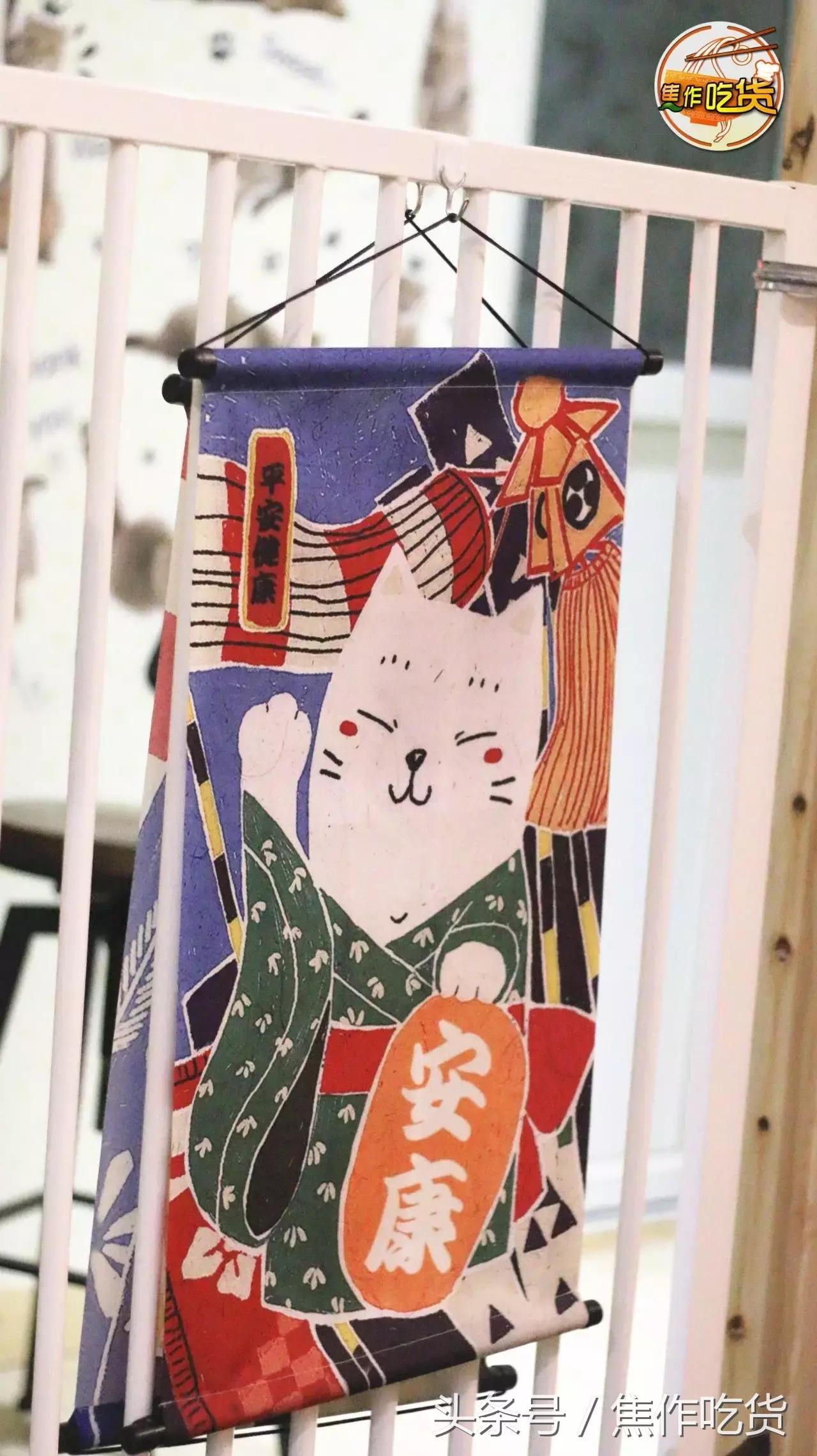 焦作推荐猫咖,焦作新区猫咖