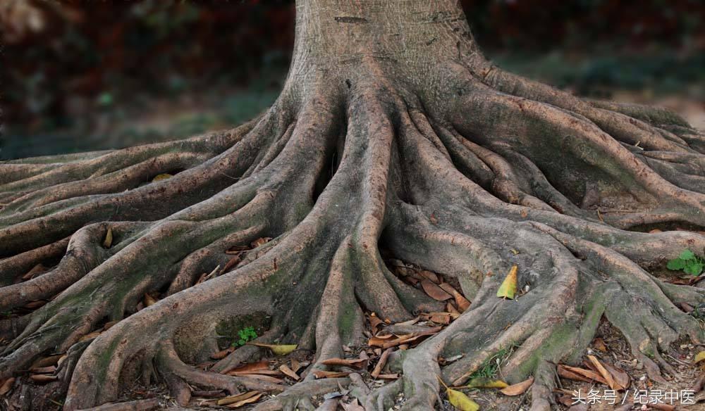 医武同源|专访骨伤名医董路明