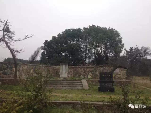 桐城市为什么这么发达,弹丸小城