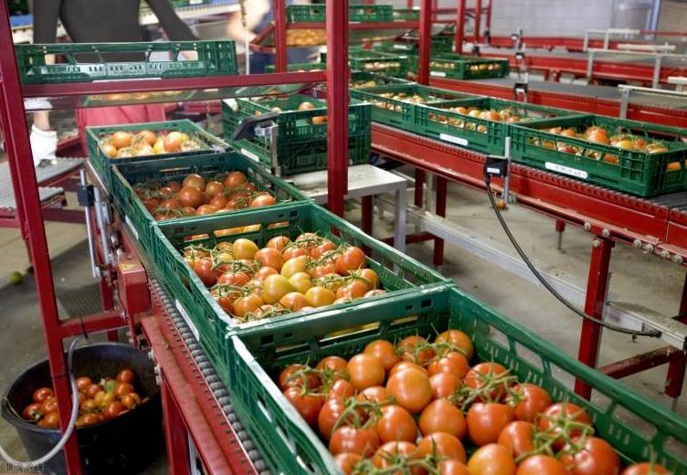 互联网时代如何在农村创业,在农村想网上创业不知干什么