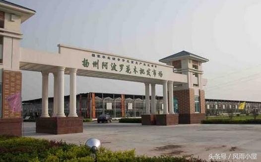 扬州花木市场,扬州阿波罗花木市场现在还在开吗