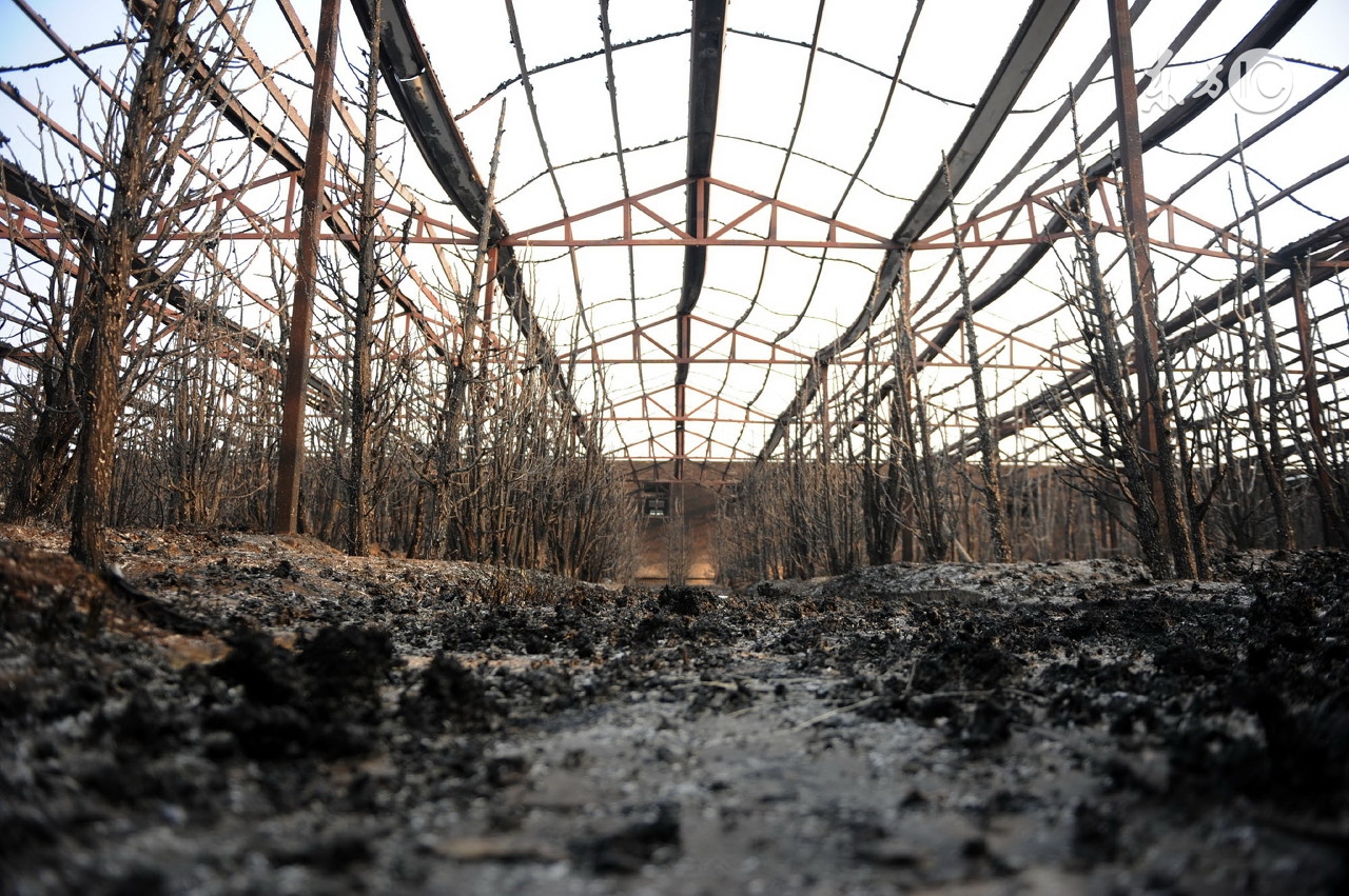 一般农村畜禽粪便怎么处理,畜禽养殖粪便处理规定