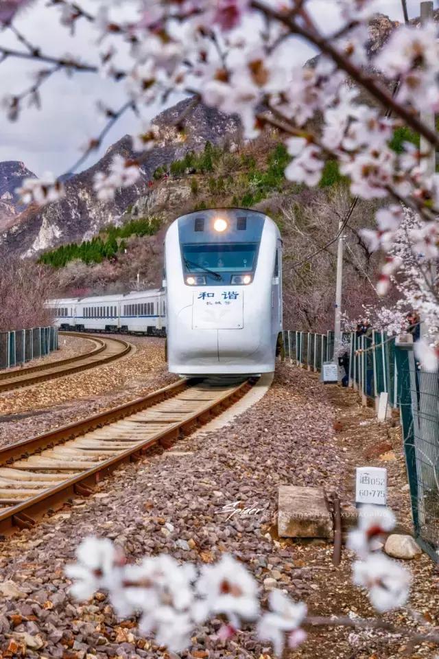 摄友作品点评,4月拍照