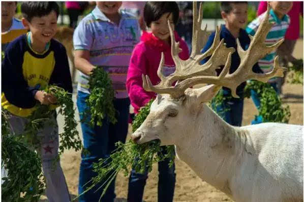 浙江五一旅游攻略亲子游,五一山东小众旅游亲子游