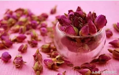 春天肝气郁结喝什么茶,春季疏肝健脾代茶饮