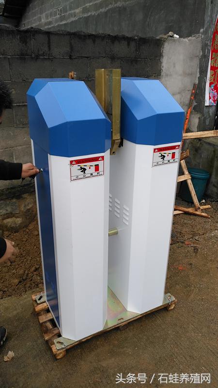 石蛙养殖创业,石蛙养殖成功典型案例