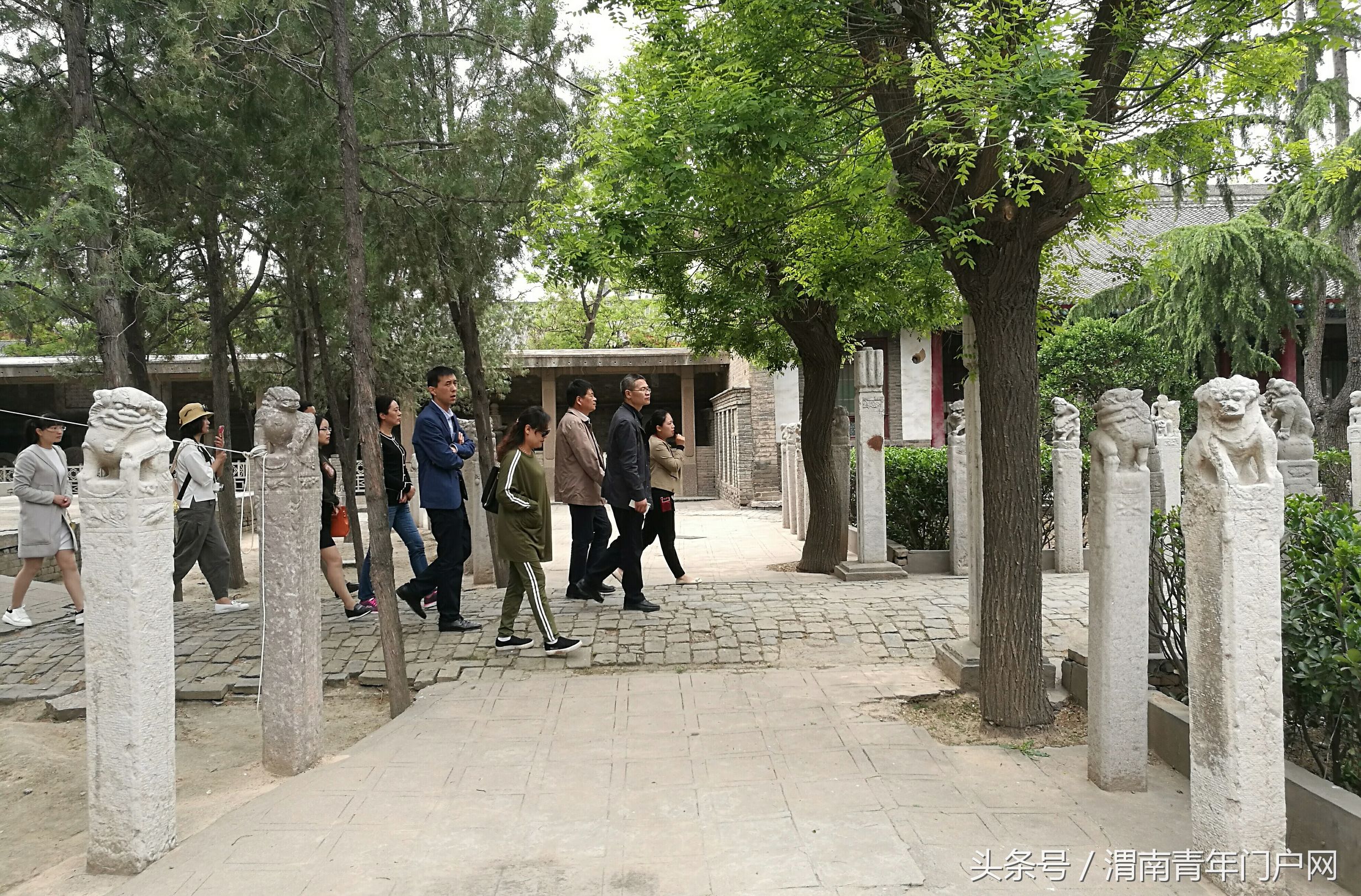 渭南龙脉,渭南蒲城龙脉福地