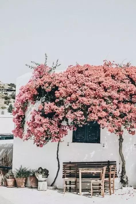 经典朋友圈第一条,这才是你的朋友圈文字