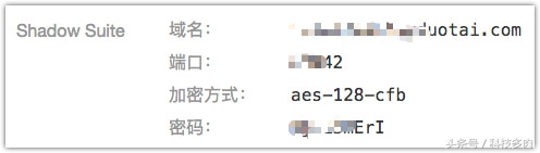 可能这个是最炫酷的上油管方式——SpechtLite