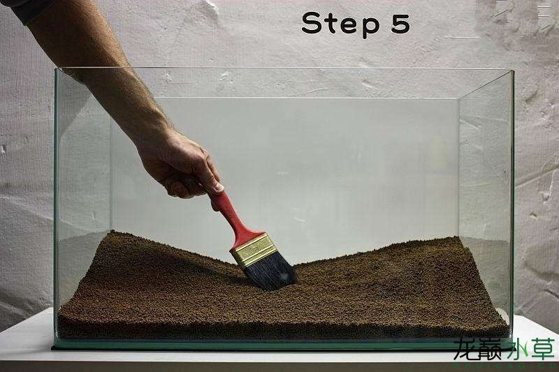 水草造景之我见-水草造景详细开缸教程及相关常见问题预防解答
