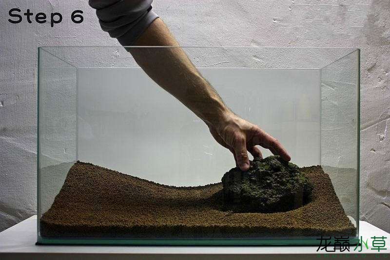水草造景之我见-水草造景详细开缸教程及相关常见问题预防解答