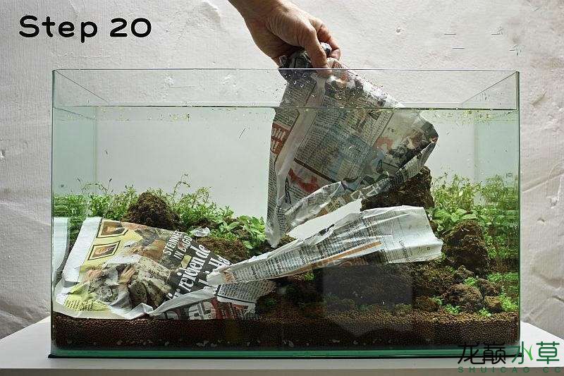 水草造景之我见-水草造景详细开缸教程及相关常见问题预防解答