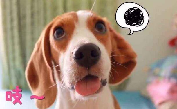 京鲁名医联合会诊断白癜风,青岛齐鲁医院治疗白癜风专家