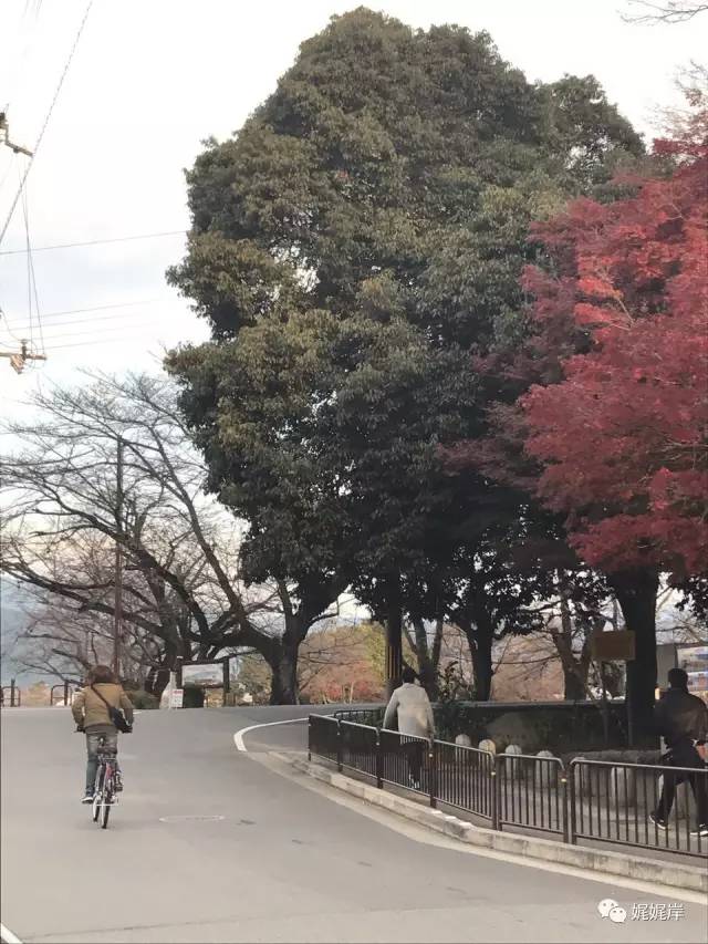京都雾霾在哪里,冬天去京都合适吗
