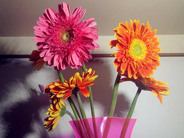 单词背后的故事电子书,单词背后的故事