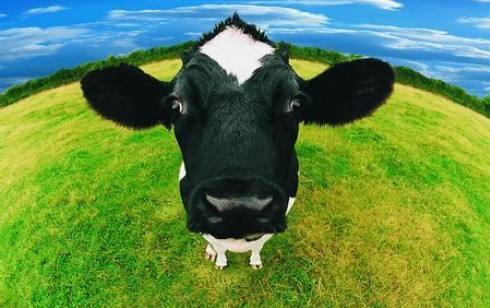 100元在新西兰必买清单,新西兰必买29件