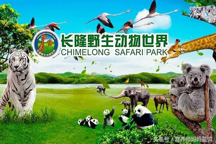 5.1带孩子去长隆推荐,带娃广东长隆欢乐世界游玩攻略