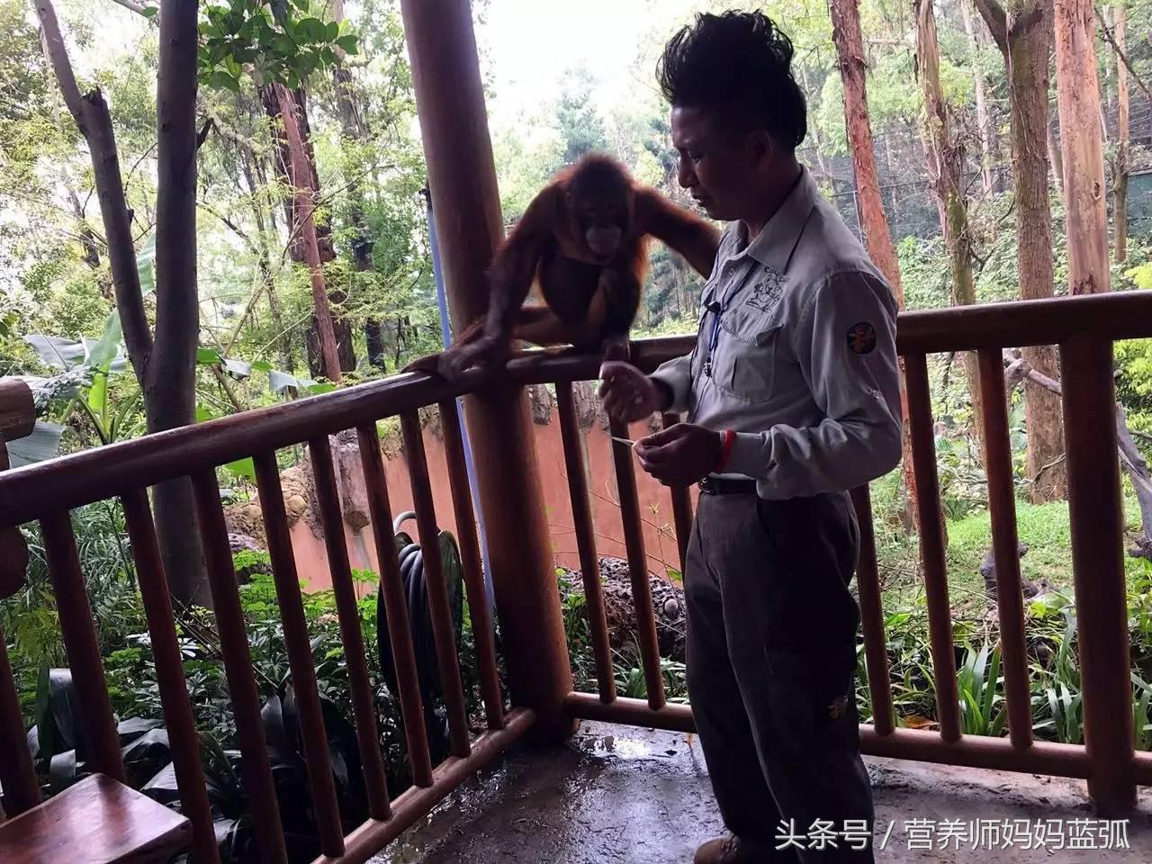 5.1带孩子去长隆推荐,带娃广东长隆欢乐世界游玩攻略