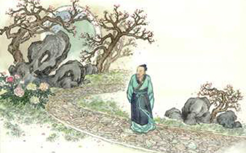 一棵山茶的故事,一棵茶故事