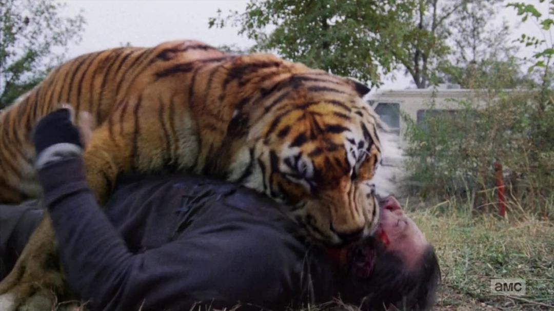 行尸走肉第七季解说评价,行尸走肉第七季第几集开始反抗