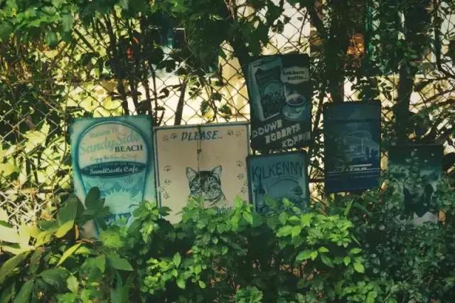 怪不得网红都那么美，原来全靠这些修图技巧，我甘拜下风