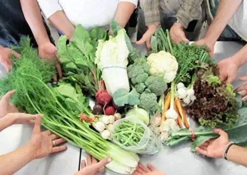 创业的最佳时机,农村创业的十大机会