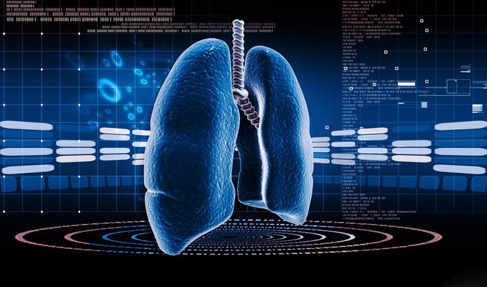 身体器官的衰老不可避免,人体机能和生命健康科普