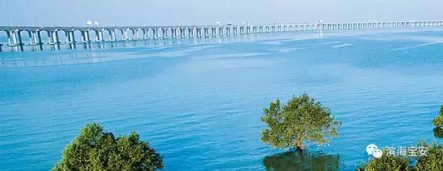 4条社区微巴直达西湾公园，这个“五一”来宝安看海天美景