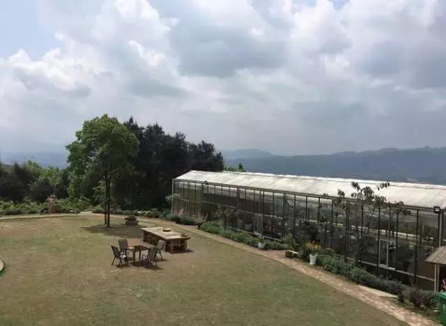 重庆农家乐旅游攻略,重庆农家乐旅游推荐