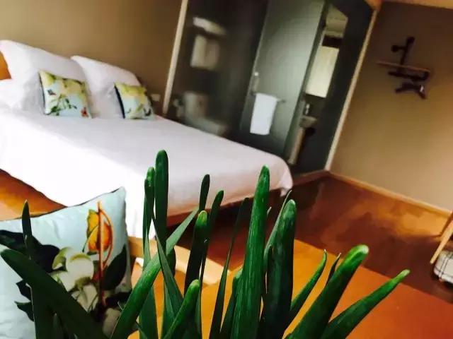 德阳低碳出行周边旅游民宿推荐,德阳好耍的民宿推荐