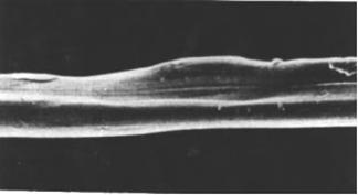 纺织纤维衣服好不好,纺织纤维的衣服质量怎么样