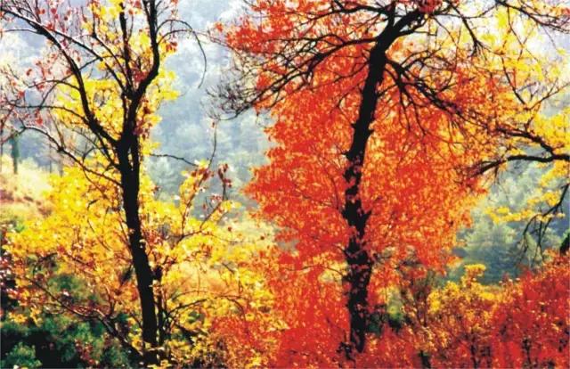 大西安真正的美景,大西安临潼