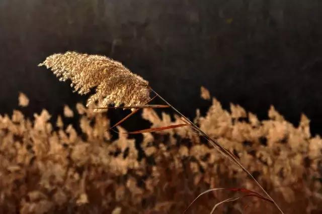 大西安真正的美景,大西安临潼