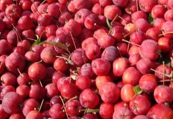 忻州保德必去的6个景点,忻州市保德县旅游景点介绍图片