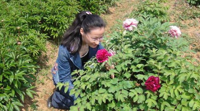 老公打了我却没道歉怎么办,被老公打了怎么办娘家也不管